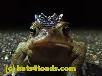 /home//u458753944/public_html/sourcegallery//////Roxborough Toad Detour/2021/2021-03-31/P3310121.JPG